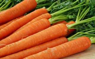 Как приготовить морковные котлеты, лучшие рецепты