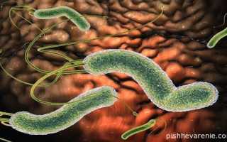 Инфекция Хеликобактериоз: симптомы и лечение