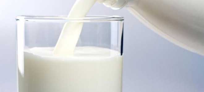Закваска для кефира в домашних условиях — рецепт и польза продукта