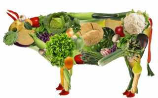 Последствия вегетарианства для здоровья человека