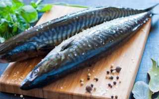 Скумбрия — белки, жиры, углеводы, полезные, вредные свойства рыбы