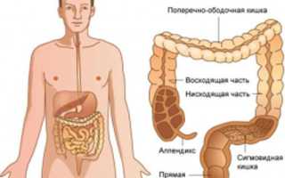 Сигмовидная кишка: боль в сигмовидной кишке, причины заболевания, лечение