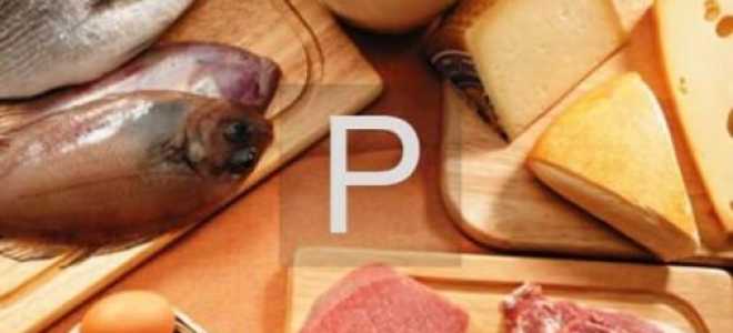Фосфор в продуктах питания — таблица нормативных значений и его роль в организме