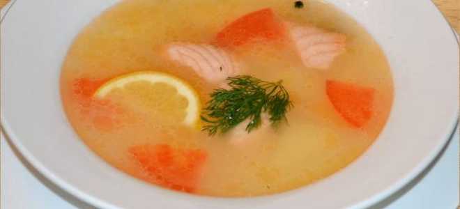 Как правильно варить рыбный бульон, чтобы было вкусно и полезно