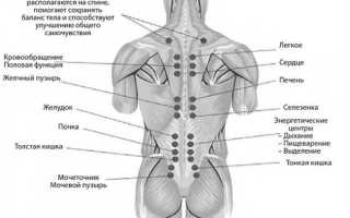 Точки на спине для массажа