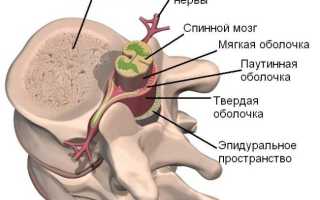 Дуральный мешок позвоночника: что это такое