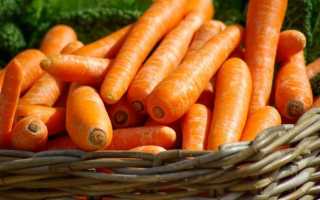 Как готовить морковные котлеты и чем они полезны