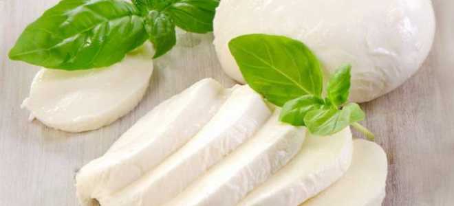 Рекомендации по изготовлению сыра моцарелла, состав и калорийность продукта