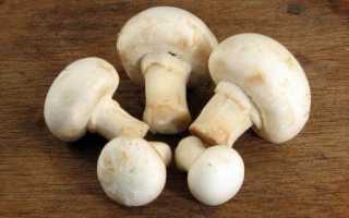 Шампиньоны: польза и вред. Кому грибы принесут значительную и действительно необходимую полезность, а кому проблемы со здоровьем?