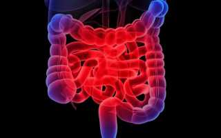 Желудочная инфекция: симптомы и методы их устранения