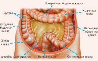 Атония кишечника: главные признаки заболевания и основные принципы лечения