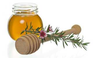 Мед манука — самый полезный мед