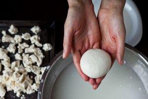 Рекомендации по изготовлению сыра моцарелла, состав и калорийность продукта