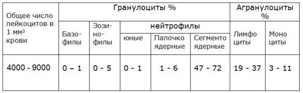 Лейкоцитарная формула крови. Расшифровка