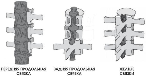 Виды длинных связок