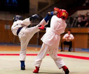 Различные виды борьбы (тхэквондо, бокс, рукопашный бой, каратэ)