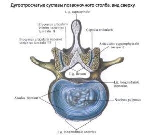 Обмен веществ