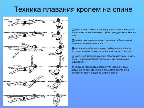 Техника плавания кролем на спине