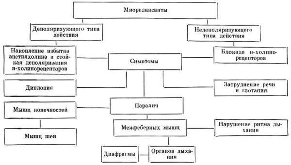 Фармакологические эффекты миорелаксантов