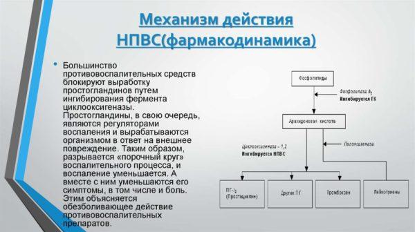 Механизм действия НПВС