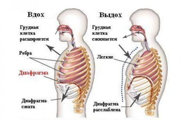 Вдох рекомендуется делать носом, выдыхать - через рот
